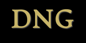 DNG-Brandschutz GmbH